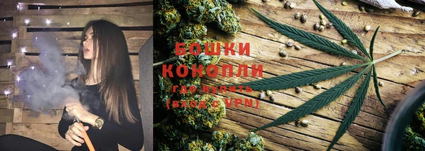 ешки Нефтекумск