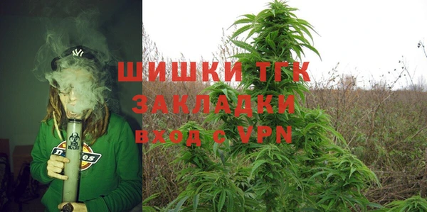 прущие грибы Ачинск