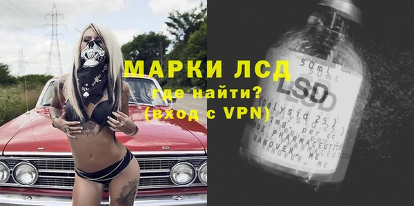 ешки Бердск