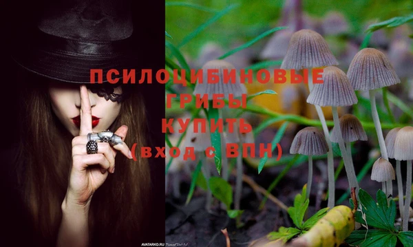 ешки Бердск