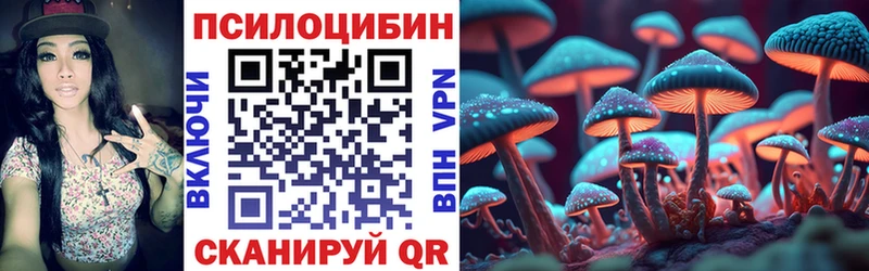 МЕГА ТОР  Новосибирск  Псилоцибиновые грибы Psilocybe 